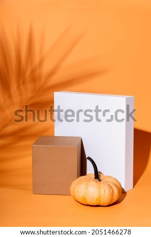 
Abstract background composition with geometric shapes and thanksgiving pumpkin decor. Product stage display still life for halloween concept. Minimal design with tropic palm shadow and cubes 