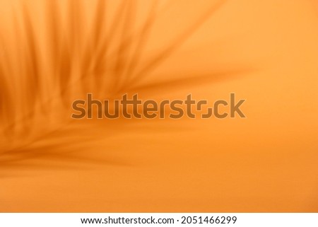 
Tropical shadow on orange background. Tropic palm leaf overlay on thanksgiving and halloween backdrop. Product display. Natural silhouette on wall. Flat lay. Royalty-Free Stock Photo #2051466299