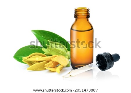 Ylang ylang essential oil and ylang ylang flower isolated on white background.