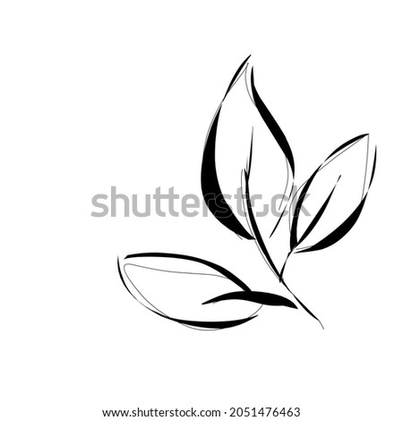 white background leaf illustration line art