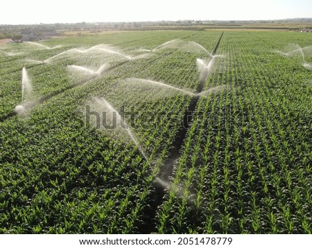 Aerial photo from sprinkler irrigation drone Royalty-Free Stock Photo #2051478779