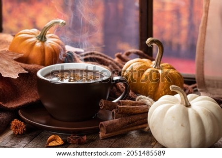 Steaming cup of hot chocolate with cinnamon and mini pumpkins by a window with autumn background