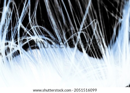 Abstract windy close up hair texture.