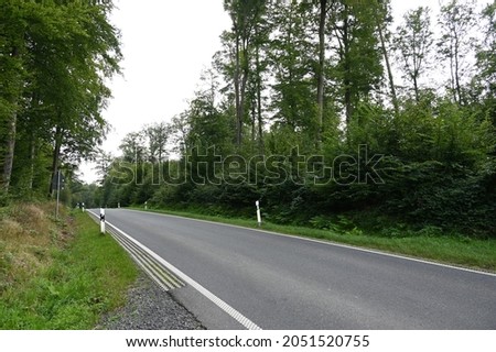 Empty country road through a forest 