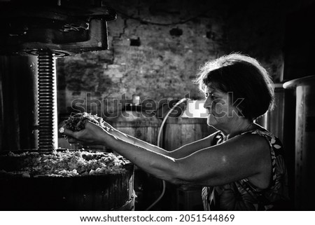 Grape harvest: old woman , keep in his hands must taken from a winepress. Black and white picture