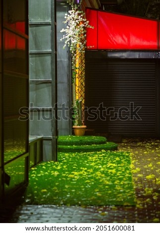 Autumn city at night with green grass and yellow leaves