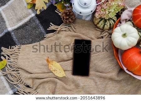 Autumn composition with smart phone, pumpkins, falling leaves on plaid