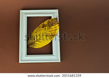A top view of an autumn leaf in a white picture frame with a burgundy background 