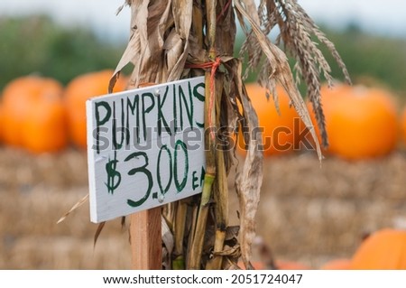 Closeup homemade sign advertising pumpkins for sale at local roadside farm stand pumpkin patch. Bales of hay.