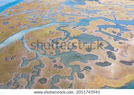 Narrow channels meander through a salt marsh in Pleasant Bay, Cape Cod, Massachusetts. This type of wetland habitat is vital feeding grounds for migrating birds, fish, and many marine invertebrates.