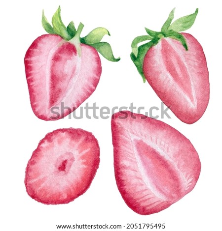 Watercolor strawberry clipart set. Hand drawn food illustration.