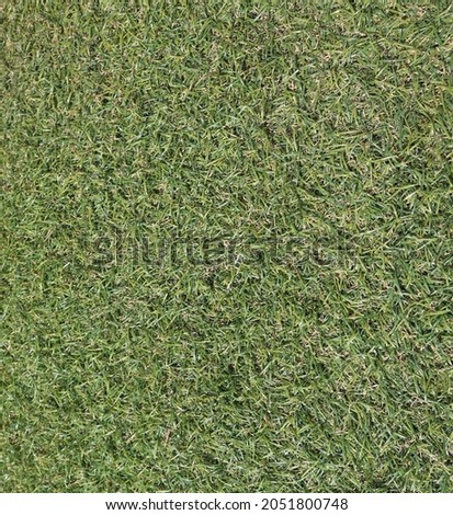 CLOSE UP PICTURE OF GREEN SYNTHETIC GRASS AS BACKGROUND