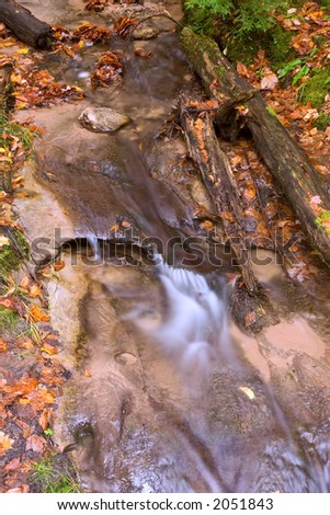 Closeup of Stream in Fall colors at Pictured Rock National Lakeshore