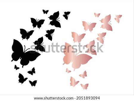 vector butterfly vector hand drawn