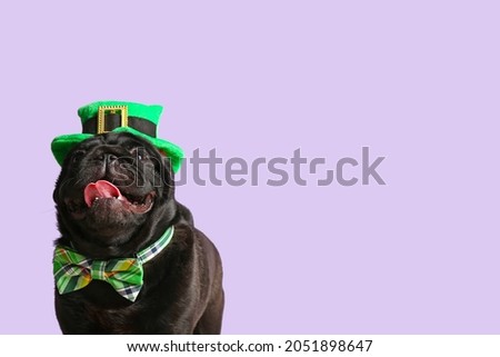 Cute dog with green hat and bowtie on color background. St. Patrick's Day celebration
