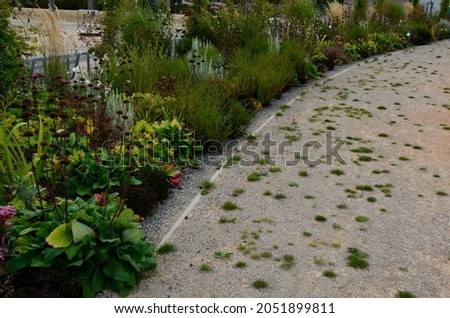 nature paths in the park made of fine rolled trowel. irregular stone paving is overgrown with individual tufts of grass. it gives an untreated neglected impression.