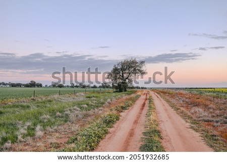 sun setting on country road in Central Victoria, Australia. Late afternoon in Australia. Landscape image,