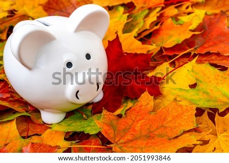 Time for Fall Savings. Colorful fall leaves with a white piggy bank.