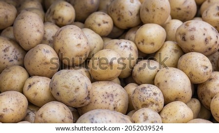 potato. a photo on the desktop. background picture. sick potatoes. delicious vegetarian food.