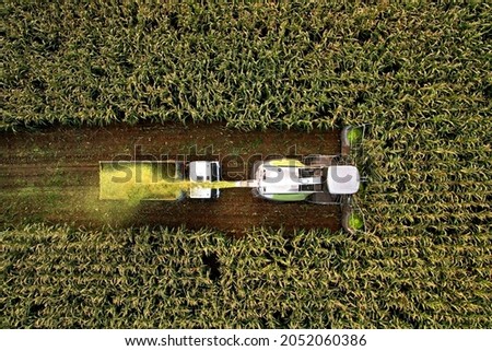 Forage harvester on maize cutting for silage in field. Harvesting biomass crop. Self-propelled Harvester for agriculture. Tractor work on corn harvest season. Farm equipment and farming machine. Royalty-Free Stock Photo #2052060386