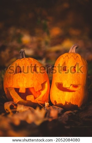 carved funny pumpkins for Halloween
