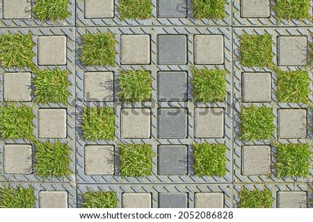 Sample of brick pavement with grass.