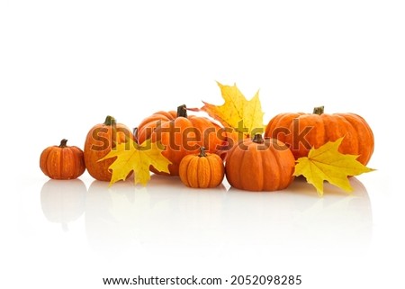 Heap of many pumpkins isolated on white background, Autumn and Halloween concept