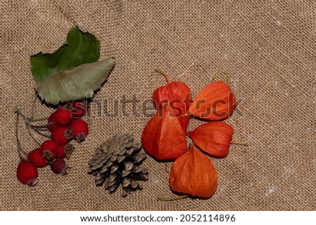 Red boxes of physalis, a fir cone and hawthorn fruits, on a burlap backing. The background is made of burlap and objects on it.