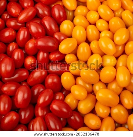 Long plum tomato texture background. Fresh small red and yellow cherry tomatoes pattern, mini organic cocktail tomate mix wallpaper top view Royalty-Free Stock Photo #2052136478