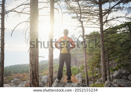 the concept of discovery and hiking, nature and freedom. Young man standing on top of a cliff in summer mountains among pine forest and enjoying nature view
