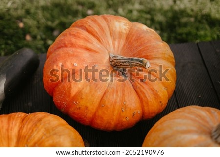 Bright halloween pumpkins on a wooden terrace in autumn