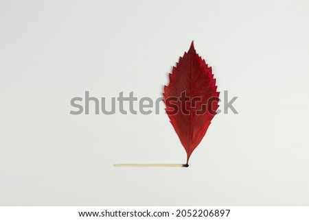 Still life of Single match with a leaf with autumn colors over white background.