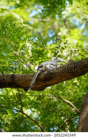 A picture of a bird in a park.