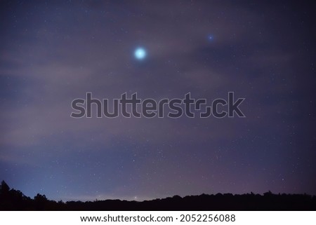 Brightest star Sirius over the forest in the night sky.
