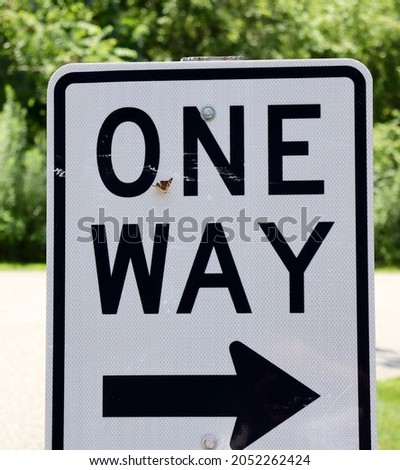 A close view one way sign on the side of the road.