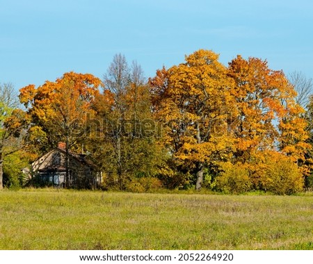 Beautiful country house with autumn oranges and yellow-green trees as well as a meadow and blue sky