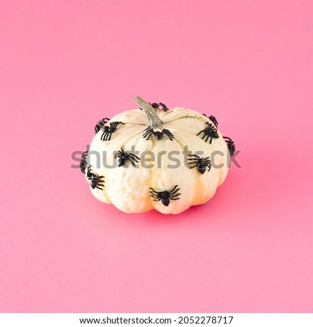 Beige pumpkin on which many black spiders walk. Minimal Halloween concept on a pink background