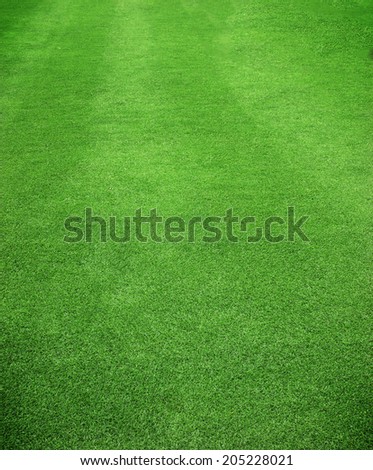 Green grass background texture. Football turf.