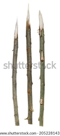 Set sharp stake isolated on white background Royalty-Free Stock Photo #2052281432