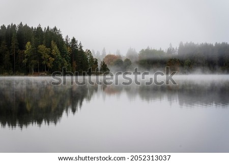 A foggy morning on autumn by a small lake in Sweden.  With a red tree in the middle of the picture.