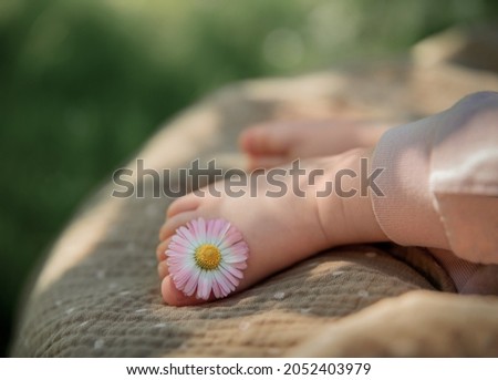 Photo of a daisy on a little baby feet