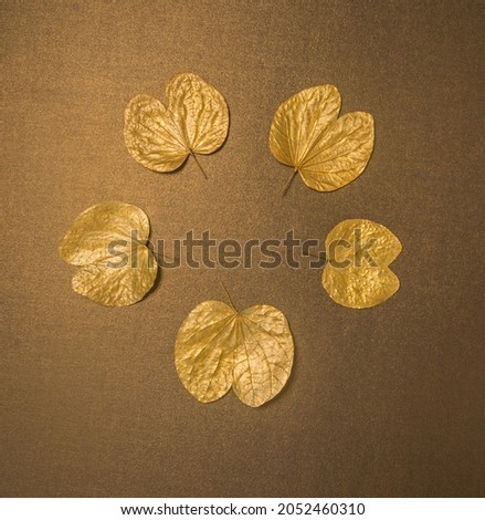 Dussehra greeting card cover with clear space for message.  Golden Apta leaves - a symbolic ‘gold’, arranged in a circular shape with empty space for logo or text. Royalty-Free Stock Photo #2052460310
