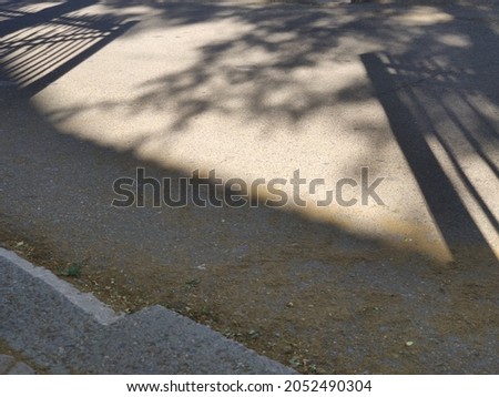 Shadows from trees and fence on gray asphalt on a sunny day