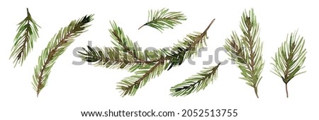 Fir branches watercolor set. Twigs of a Christmas tree. Pine. Conifers. Always green. Festive winter decor. Isolated over white background.