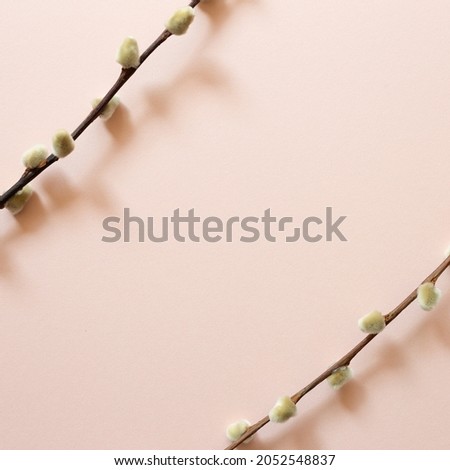 Dry branch frame on pink background. top view, copy space