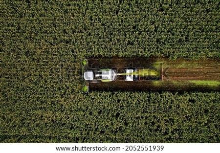 Forage harvester on maize cutting for silage in field. Harvesting biomass crop. Self-propelled Harvester for agriculture. Tractor work on corn harvest season. Farm equipment and farming machine. Royalty-Free Stock Photo #2052551939