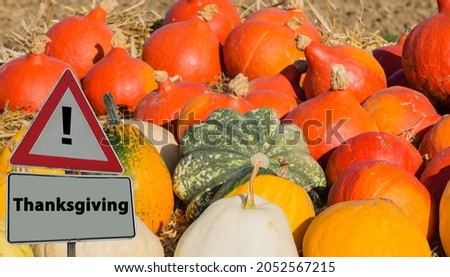 Sign Thanksgiving in Front of Pumpkins