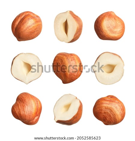Set with tasty hazelnuts on white background  Royalty-Free Stock Photo #2052585623
