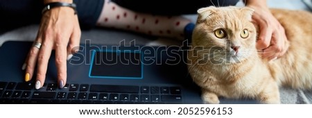Woman searching vet website on laptop to register cat for veterinary consultation, Freelancer female typing on laptop sitting on the floor at home near large windows, studying, working from home.