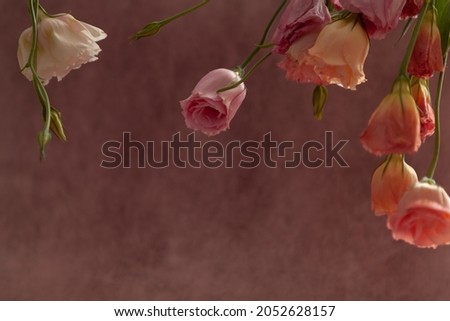 Horizontal postcard invitation blank with place for text. Pink and cream eustoma flowers on fade pink background
